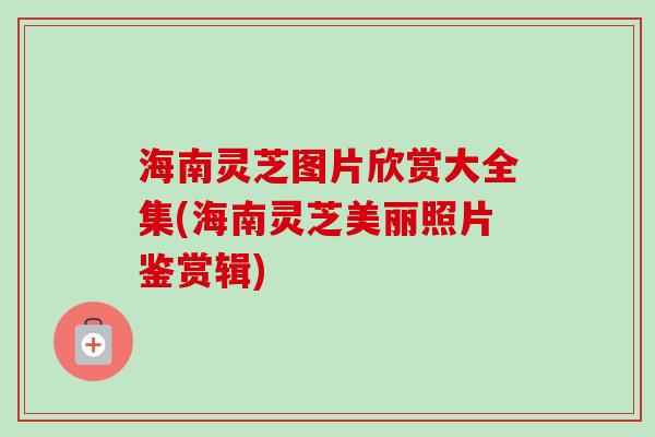 海南灵芝图片欣赏大全集(海南灵芝美丽照片鉴赏辑) 海南灵芝图片欣赏大全集(海南灵芝美丽照片鉴赏辑)
