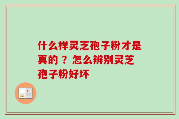什么样灵芝孢子粉才是真的 ?怎么辨别灵芝孢子粉好坏 什么样灵芝孢子粉才是真的 ?怎么辨别灵芝孢子粉好坏
