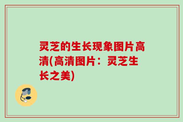 灵芝的生长现象图片高清(高清图片:灵芝生长之美) 灵芝的生长现象图片高清(高清图片:灵芝生长之美)