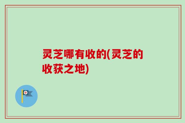 灵芝哪有收的(灵芝的收获之地) 灵芝哪有收的(灵芝的收获之地)