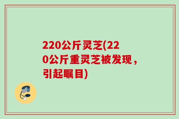 220公斤灵芝(220公斤重灵芝被发现,引起瞩目) 220公斤灵芝(220公斤重灵芝被发现,引起瞩目)
