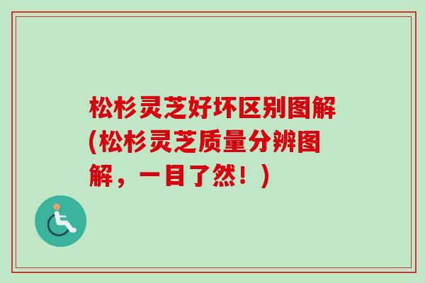 松杉灵芝好坏区别图解(松杉灵芝质量分辨图解，一目了然！)