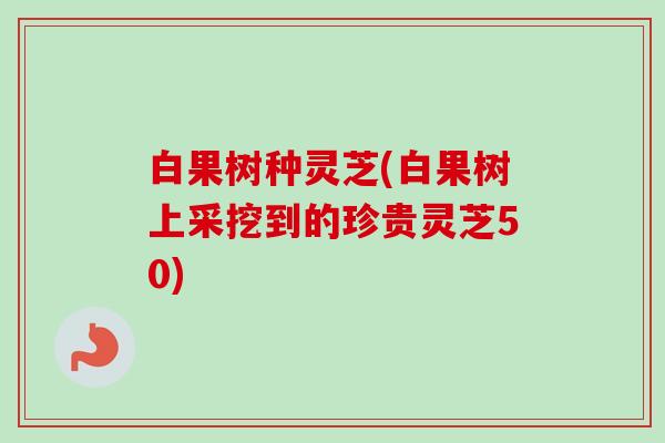 白果树种灵芝(白果树上采挖到的珍贵灵芝50) 白果树种灵芝(白果树上采挖到的珍贵灵芝50)