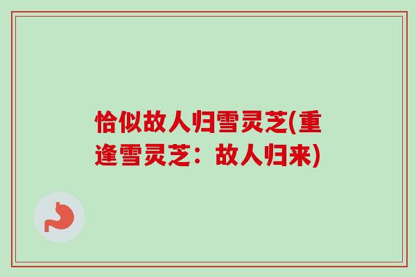 恰似故人归雪灵芝(重逢雪灵芝：故人归来)
