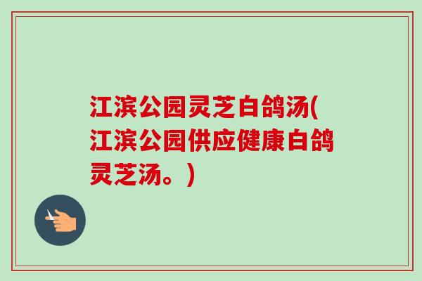 江滨公园灵芝白鸽汤(江滨公园供应健康白鸽灵芝汤。)