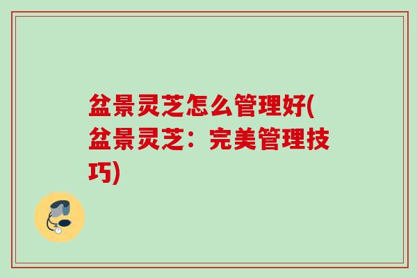盆景灵芝怎么管理好(盆景灵芝:完美管理技巧) 盆景灵芝怎么管理好(盆景灵芝:完美管理技巧)