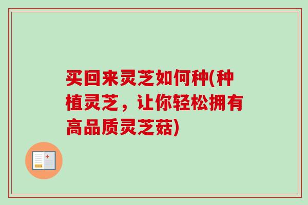 买回来灵芝如何种(种植灵芝,让你轻松拥有高品质灵芝菇) 买回来灵芝如何种(种植灵芝,让你轻松拥有高品质灵芝菇)