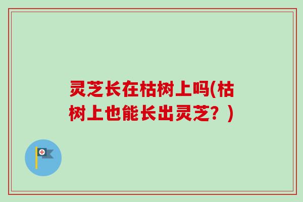 灵芝长在枯树上吗(枯树上也能长出灵芝?) 灵芝长在枯树上吗(枯树上也能长出灵芝?)