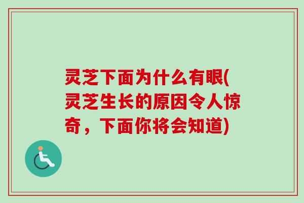 灵芝下面为什么有眼(灵芝生长的原因令人惊奇，下面你将会知道)