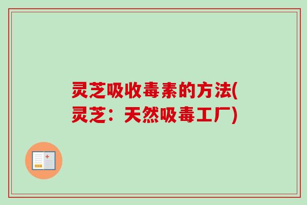 灵芝吸收毒素的方法(灵芝:天然吸毒工厂) 灵芝吸收毒素的方法(灵芝:天然吸毒工厂)