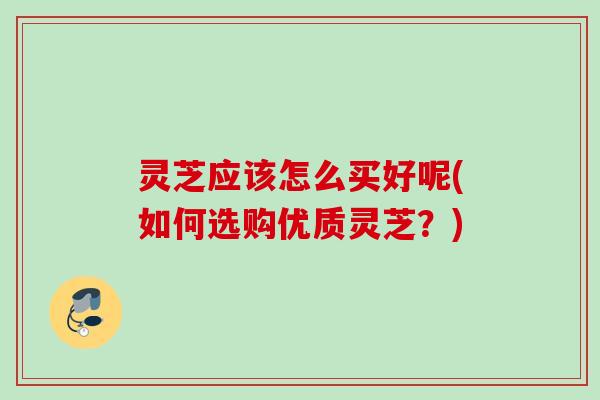 灵芝应该怎么买好呢(如何选购优质灵芝?) 灵芝应该怎么买好呢(如何选购优质灵芝?)
