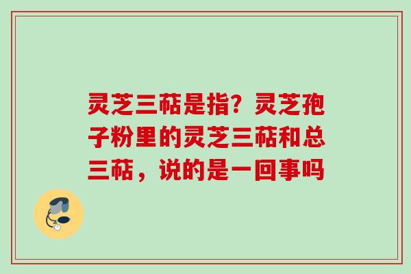灵芝三萜是指？灵芝孢子粉里的灵芝三萜和总三萜，说的是一回事吗