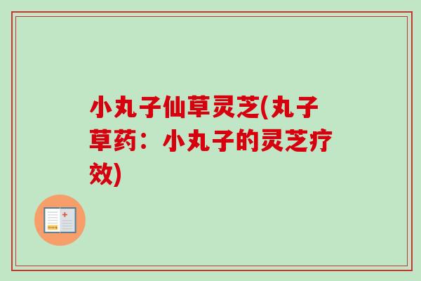 小丸子仙草灵芝(丸子草药:小丸子的灵芝疗效) 小丸子仙草灵芝(丸子草药:小丸子的灵芝疗效)