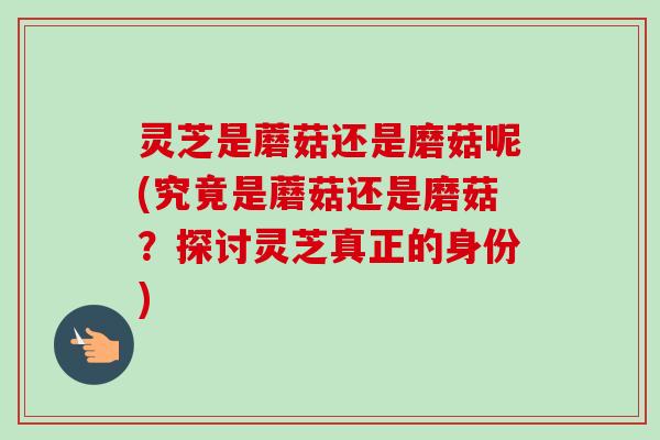 灵芝是蘑菇还是磨菇呢(究竟是蘑菇还是磨菇?探讨灵芝真正的身份) 灵芝是蘑菇还是磨菇呢(究竟是蘑菇还是磨菇?探讨灵芝真正的身份)