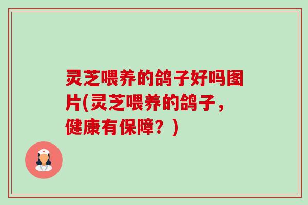 灵芝喂养的鸽子好吗图片(灵芝喂养的鸽子,健康有保障?) 灵芝喂养的鸽子好吗图片(灵芝喂养的鸽子,健康有保障?)