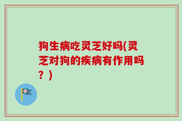 狗生吃灵芝好吗(灵芝对狗的有作用吗?) 狗生吃灵芝好吗(灵芝对狗的有作用吗?)