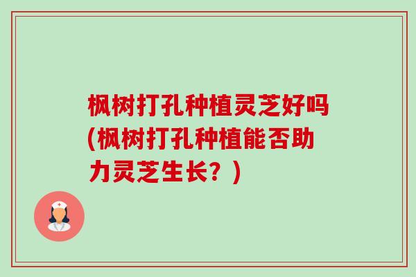 枫树打孔种植灵芝好吗(枫树打孔种植能否助力灵芝生长?) 枫树打孔种植灵芝好吗(枫树打孔种植能否助力灵芝生长?)