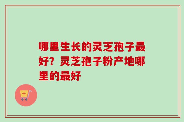 哪里生长的灵芝孢子好?灵芝孢子粉产地哪里的好 哪里生长的灵芝孢子好?灵芝孢子粉产地哪里的好