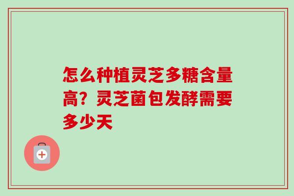 怎么种植灵芝多糖含量高？灵芝菌包发酵需要多少天