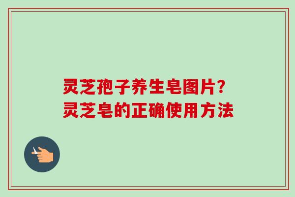 灵芝孢子养生皂图片？灵芝皂的正确使用方法