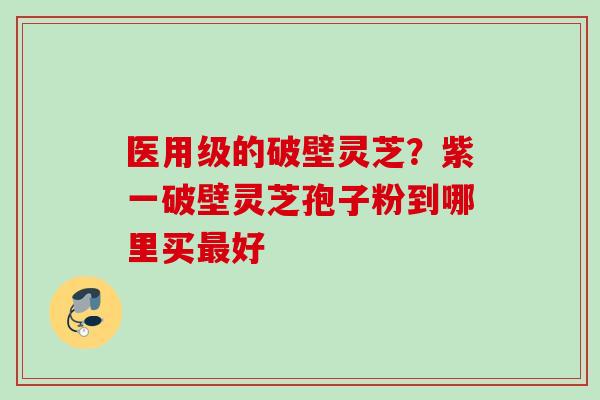 医用级的破壁灵芝?紫一破壁灵芝孢子粉到哪里买好 医用级的破壁灵芝?紫一破壁灵芝孢子粉到哪里买好