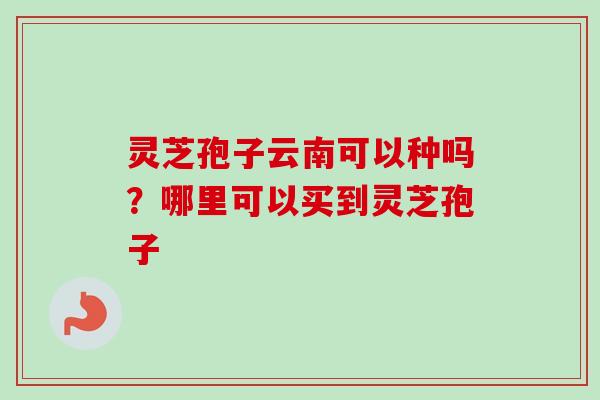 灵芝孢子云南可以种吗?哪里可以买到灵芝孢子 灵芝孢子云南可以种吗?哪里可以买到灵芝孢子