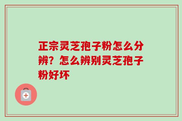 正宗灵芝孢子粉怎么分辨？怎么辨别灵芝孢子粉好坏