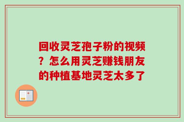 回收灵芝孢子粉的视频?怎么用灵芝赚钱朋友的种植基地灵芝太多了 回收灵芝孢子粉的视频?怎么用灵芝赚钱朋友的种植基地灵芝太多了