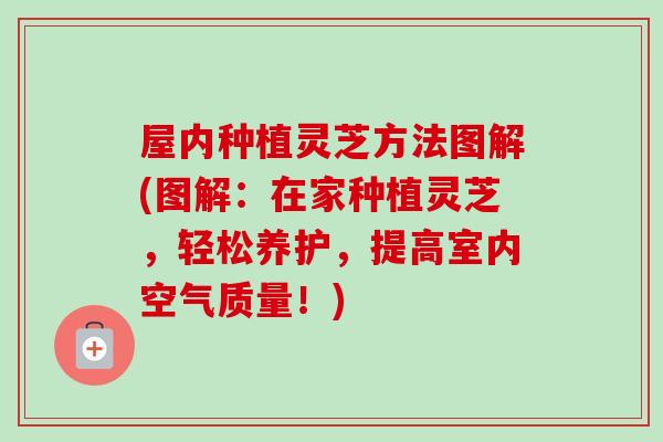 屋内种植灵芝方法图解(图解:在家种植灵芝,轻松养护,提高室内空气质量!) 屋内种植灵芝方法图解(图解:在家种植灵芝,轻松养护,提高室内空气质量!)