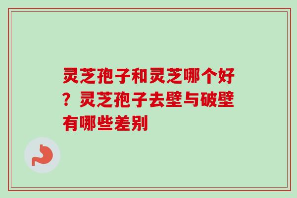 灵芝孢子和灵芝哪个好?灵芝孢子去壁与破壁有哪些差别 灵芝孢子和灵芝哪个好?灵芝孢子去壁与破壁有哪些差别