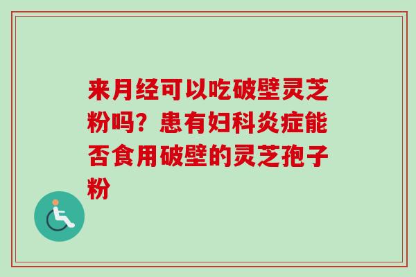 来可以吃破壁灵芝粉吗?患有能否食用破壁的灵芝孢子粉 来可以吃破壁灵芝粉吗?患有能否食用破壁的灵芝孢子粉