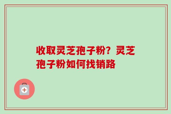 收取灵芝孢子粉？灵芝孢子粉如何找销路