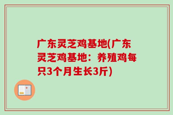 广东灵芝鸡基地(广东灵芝鸡基地:养殖鸡每只3个月生长3斤) 广东灵芝鸡基地(广东灵芝鸡基地:养殖鸡每只3个月生长3斤)