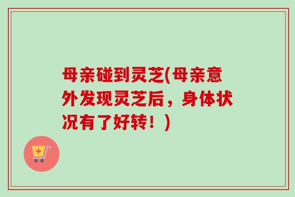 母亲碰到灵芝(母亲意外发现灵芝后,身体状况有了好转!) 母亲碰到灵芝(母亲意外发现灵芝后,身体状况有了好转!)