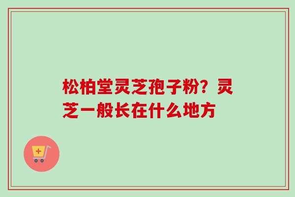 松柏堂灵芝孢子粉?灵芝一般长在什么地方 松柏堂灵芝孢子粉?灵芝一般长在什么地方