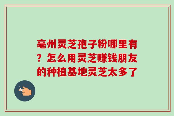 亳州灵芝孢子粉哪里有?怎么用灵芝赚钱朋友的种植基地灵芝太多了 亳州灵芝孢子粉哪里有?怎么用灵芝赚钱朋友的种植基地灵芝太多了