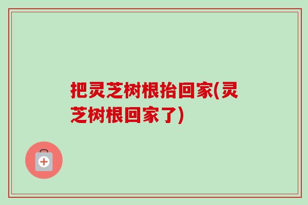 把灵芝树根抬回家(灵芝树根回家了)