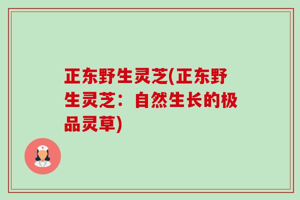 正东野生灵芝(正东野生灵芝:自然生长的极品灵草) 正东野生灵芝(正东野生灵芝:自然生长的极品灵草)