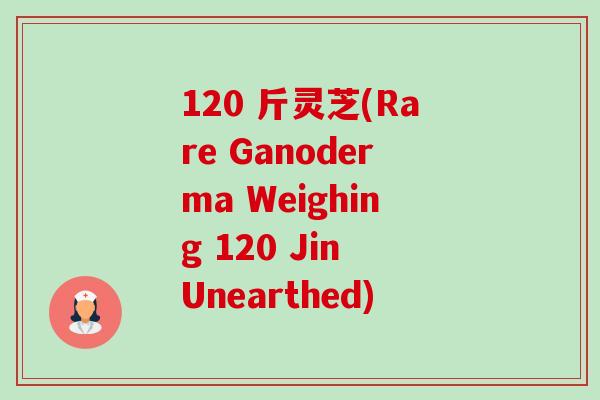 120 斤灵芝(Rare Ganoderma Weighing 120 Jin Unearthed) 120 斤灵芝(Rare Ganoderma Weighing 120 Jin Unearthed)