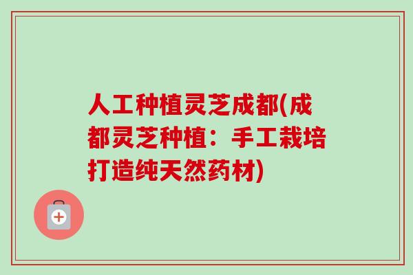 人工种植灵芝成都(成都灵芝种植：手工栽培打造纯天然药材)