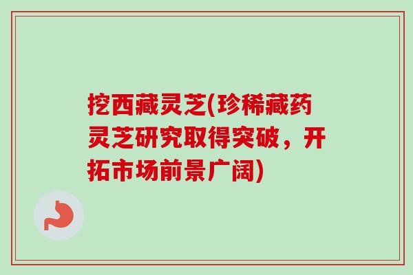挖西藏灵芝(珍稀藏药灵芝研究取得突破,开拓市场前景广阔) 挖西藏灵芝(珍稀藏药灵芝研究取得突破,开拓市场前景广阔)