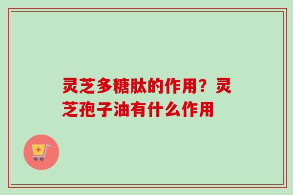 灵芝多糖肽的作用？灵芝孢子油有什么作用