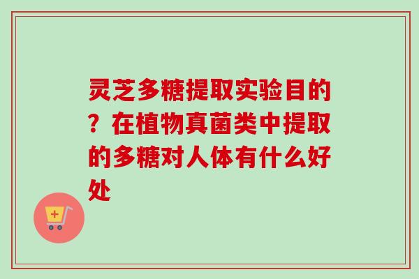 灵芝多糖提取实验目的？在植物真菌类中提取的多糖对人体有什么好处