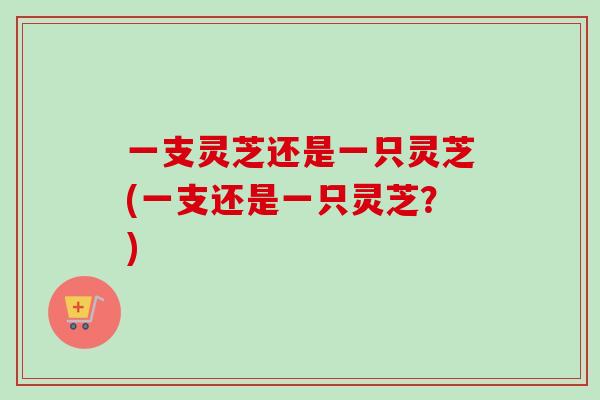 一支灵芝还是一只灵芝(一支还是一只灵芝?) 一支灵芝还是一只灵芝(一支还是一只灵芝?)