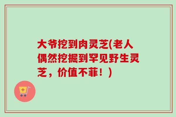 大爷挖到肉灵芝(老人偶然挖掘到罕见野生灵芝，价值不菲！)
