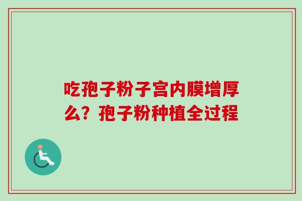 吃孢子粉子宫内膜增厚么?孢子粉种植全过程 吃孢子粉子宫内膜增厚么?孢子粉种植全过程