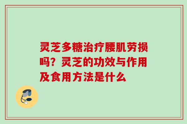 灵芝多糖腰肌劳损吗?灵芝的功效与作用及食用方法是什么 灵芝多糖腰肌劳损吗?灵芝的功效与作用及食用方法是什么