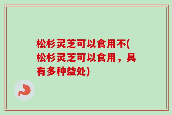 松杉灵芝可以食用不(松杉灵芝可以食用,具有多种益处) 松杉灵芝可以食用不(松杉灵芝可以食用,具有多种益处)
