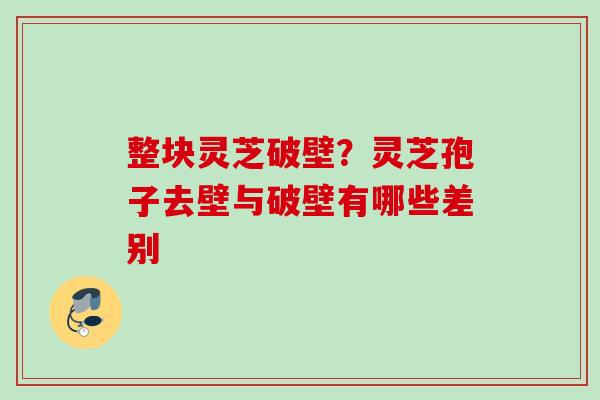 整块灵芝破壁？灵芝孢子去壁与破壁有哪些差别