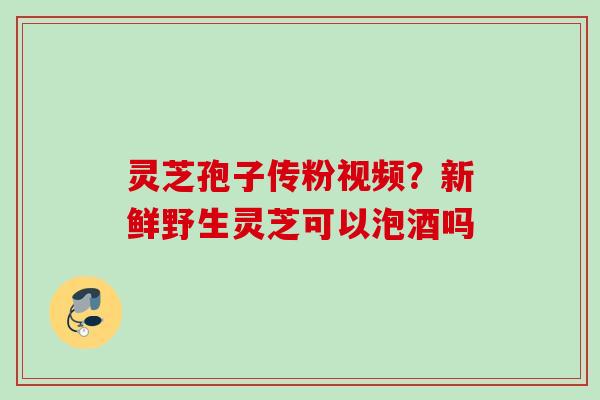 灵芝孢子传粉视频？新鲜野生灵芝可以泡酒吗